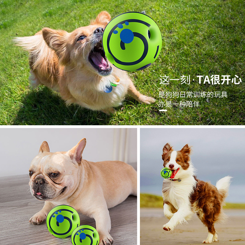 Squeaky Dog Ball Chew Toy - Image 3