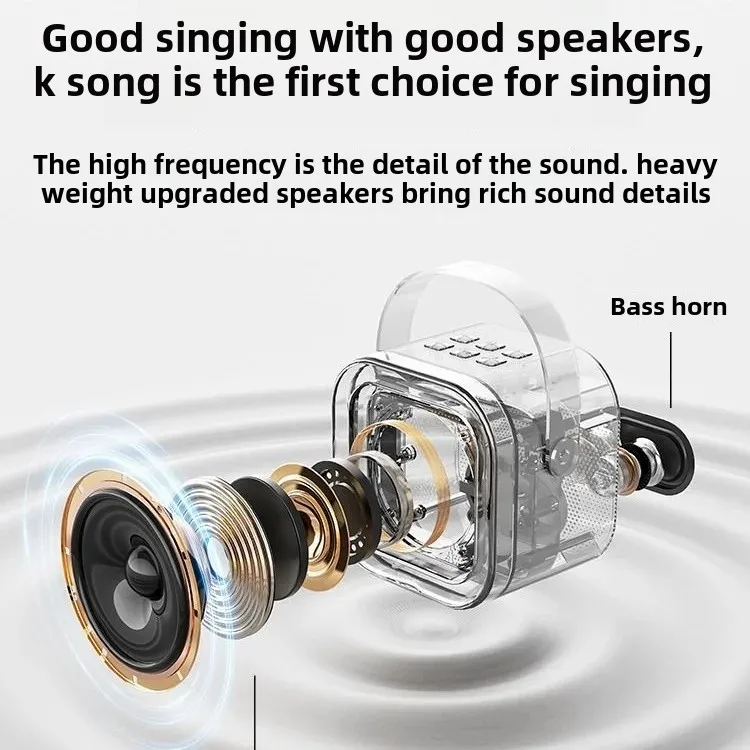 Wireless Bluetooth Karaoke Microphone with Double Mic, KTV Home Singing Gadget - Image 2